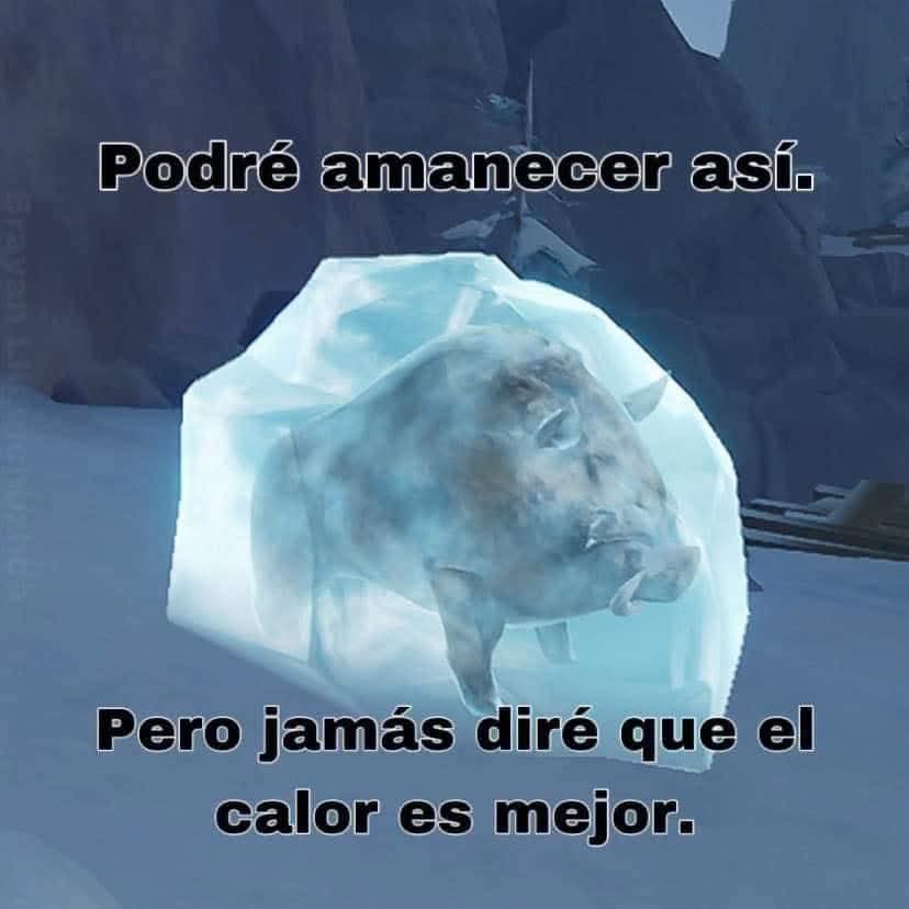 nxstypxet's tweet image. 