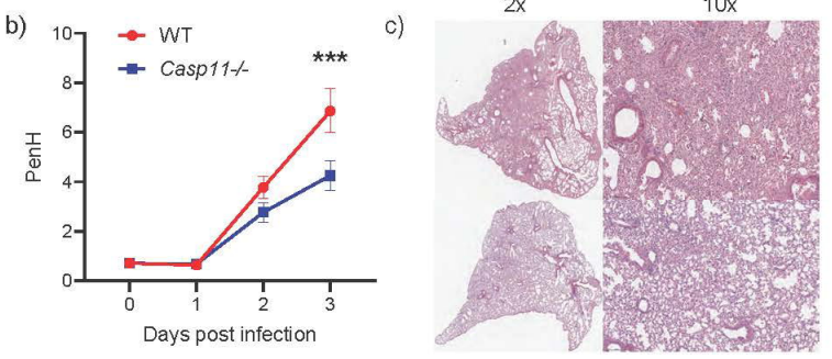 Waggoner Lab tweet media