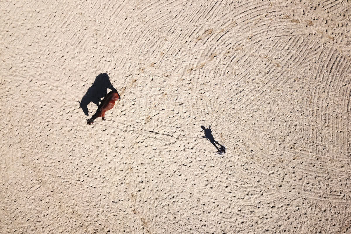 "Here's the hardest truth. The reason I've wanted to quit has nothing to do with the horses. It's not the long hours at the barn or the money it takes to keep them fed and sound," writes Jamie Sindell. "Those are sacrifices I'm willing to make. What makes me want to quit are the