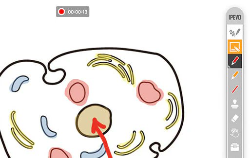لكل معلم ومدرب

اداة ipevo المجانية
uk.ipevo.com/pages/annotato…
سبورة مجانية

ومن وظائفها/
-سبورات وأدوات شرح على الشاشة
-تسجيل الشاشة كفيديو او اخذ لقطة شاشة
-منقلة وفرجال ومسطرة
-سبوت لايت للتركيز
-مكبرة
-قلم سحري

شرح الاداة
youtube.com/watch?v=aO2Ae5…

#تعليم_الاحساء  #وزارة_التعليم