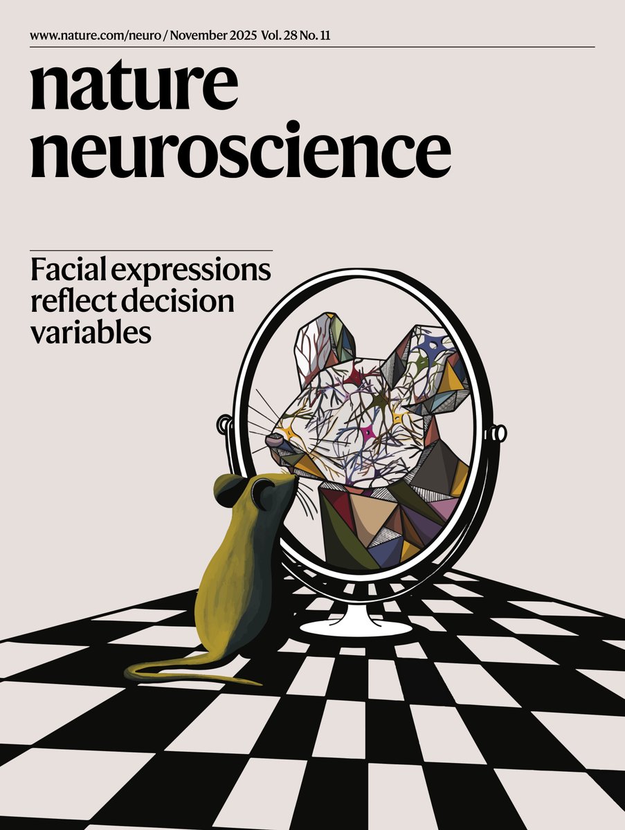 Our November issue is now live!

nature.com/neuro/volumes/…