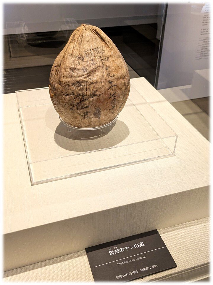 Yukie_Kudo's tweet image. Tears running down on my cheek after listening to my favorite news programme presented by my favorite &amp;amp; brilliant Journalist @BBCTimFranks of #Newshour ( all the teams &amp;amp; presenters of Newshour of #BBCWorldService are superb ). It is because of the &quot;Message In The Bottle&quot; ( I…