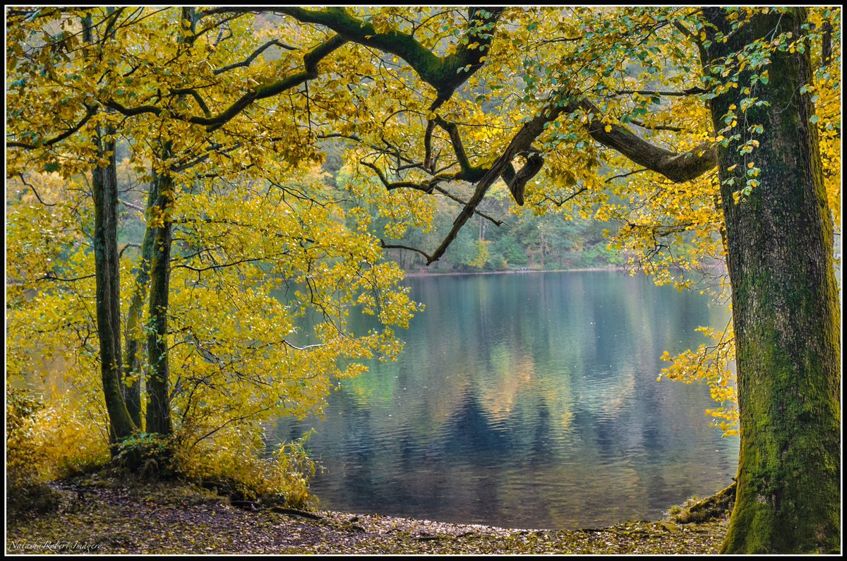 Natasha Roberts Imagery tweet media