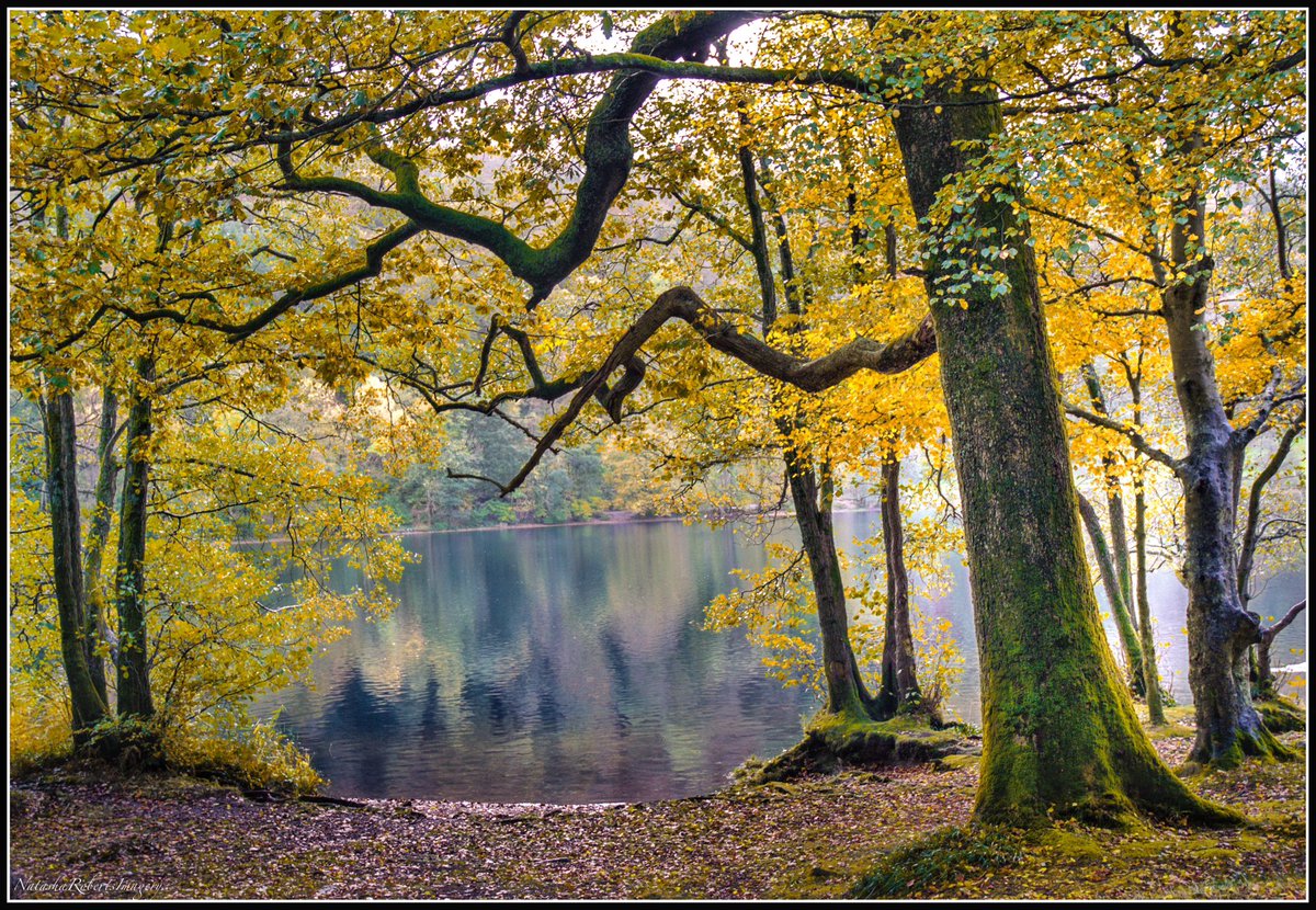 Natasha Roberts Imagery tweet media