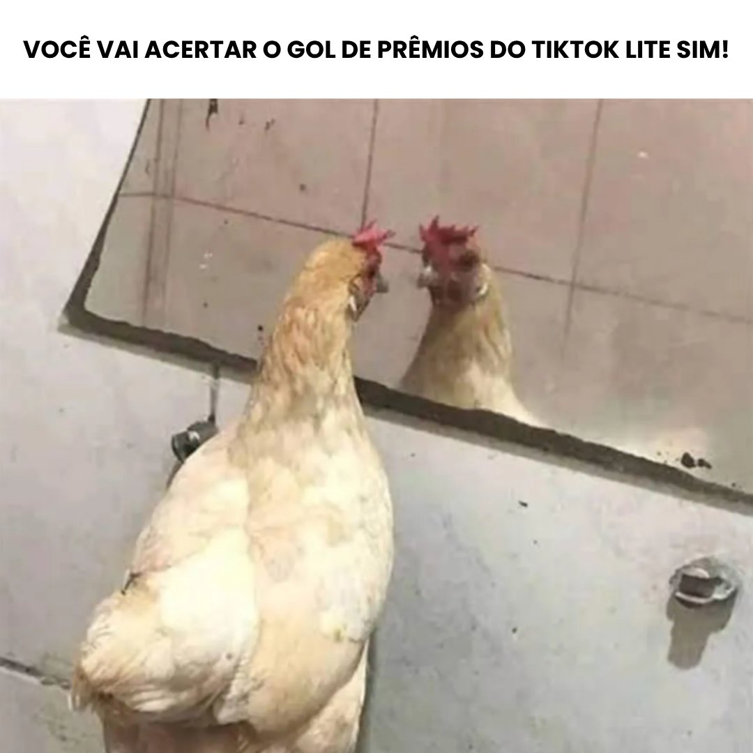 ZAMENZA's tweet photo. O Tik Tok Lite é uma versão mais leve do aplicativo para celulares com menos espaço de armazenamento e a versão para Android está com o #GolDePremios, uma ativação em que você tem mais chances de juntar moedas e trocar por dinheiro ao convidar um amigo.
https://t.co/RnN8ap3arU
#TikTok #ad