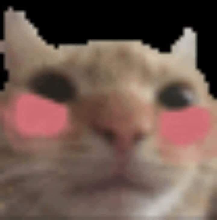 pnn1008's tweet photo. @kreyzifics_fr heheh https://t.co/IhMrzqWSCp