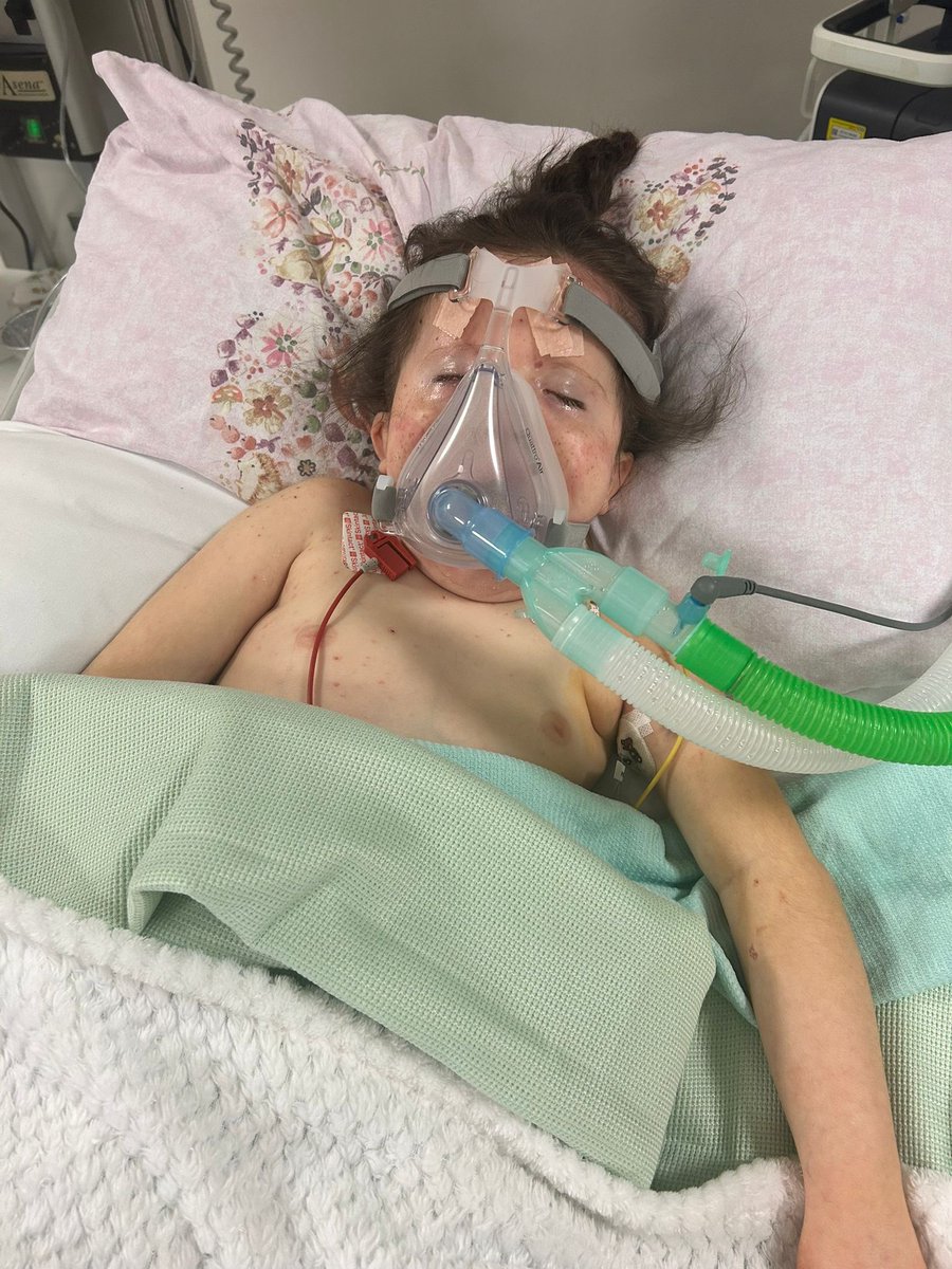 Lord Jason Guy 🐺 tweet media