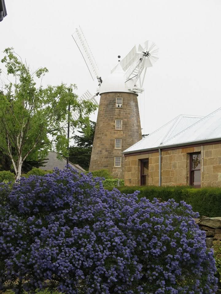 NZAllison's tweet image. Tasmania 2014. On the road north stopping at Oatlands on the way to see the only working 19th century windmill in the southern hemisphere. Lunch at Ross.
#Tasmania