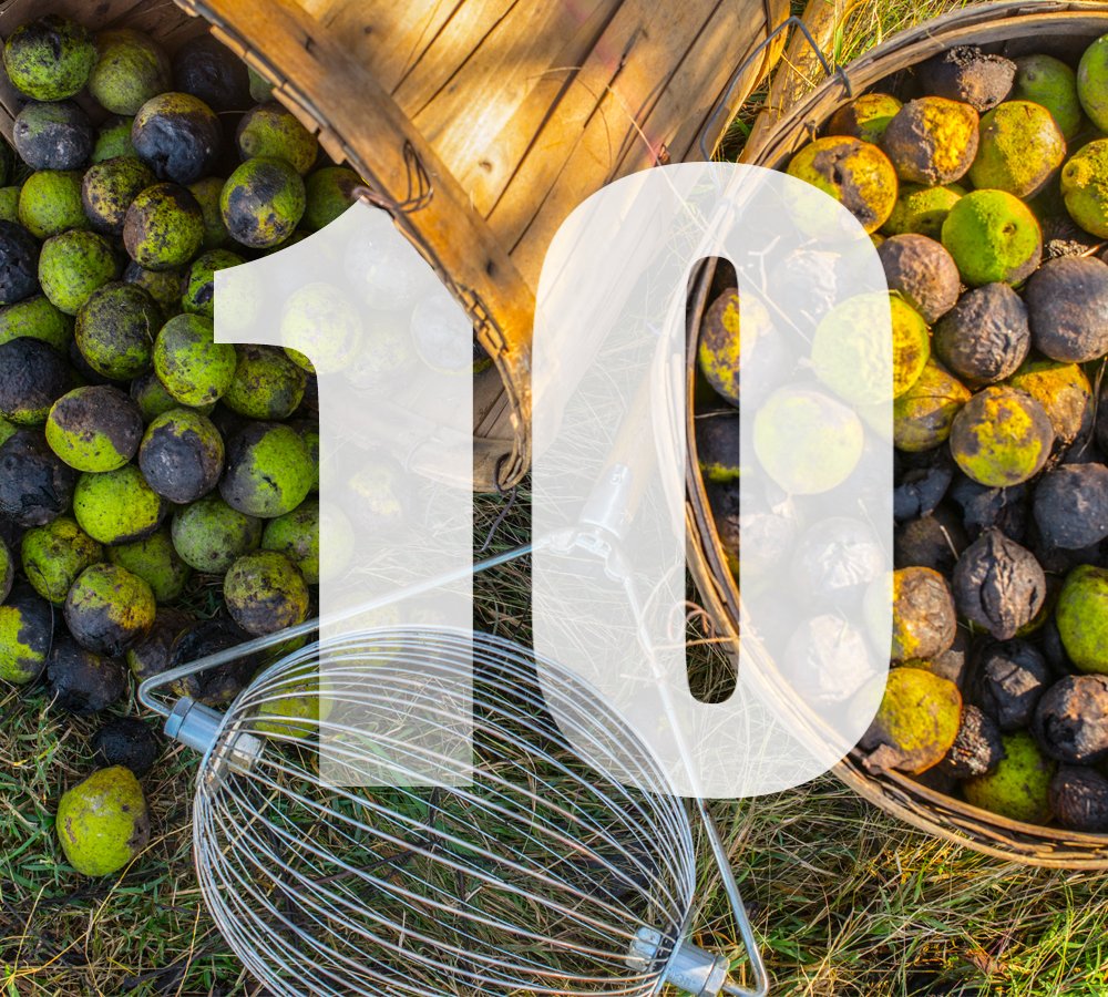 Only 10 days left in the #BlackWalnutHarvest! Whether it's 1 bucket or a dozen, every nut counts in keeping this time-honored fall tradition alive. Join the fun, enjoy the fall weather &amp; make your mark today! Find a hulling station: black-walnuts.com/discover-harve…

#blackwalnuts