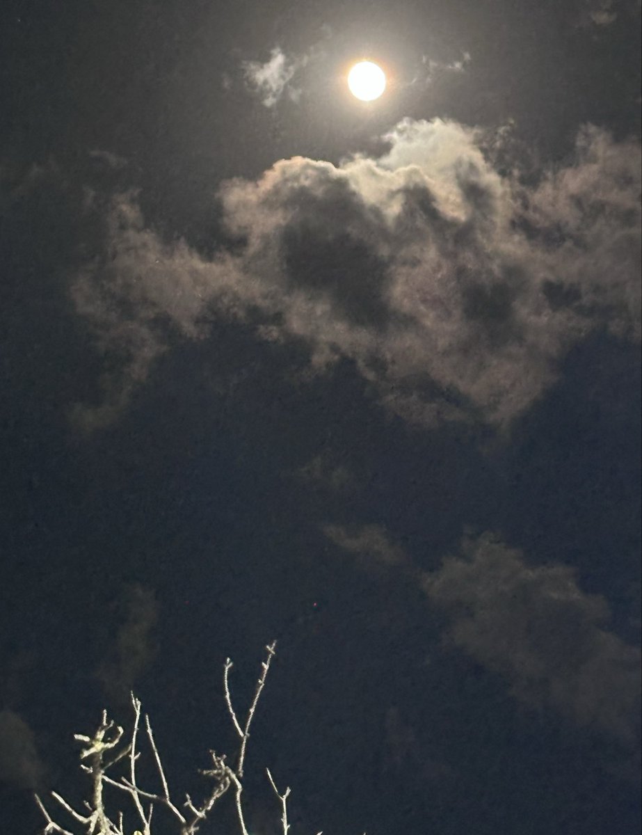 Shalom Chaverim 💕

Full moon 🌕 over Shomron, Israel 🇮🇱✨right✨now✨

Thank you Hashem for this beautiful life🕊️