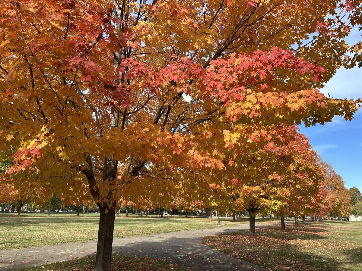 Scott Fitzgerald tweet media