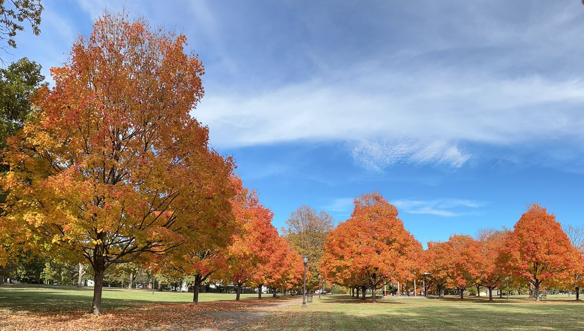 Scott Fitzgerald tweet media