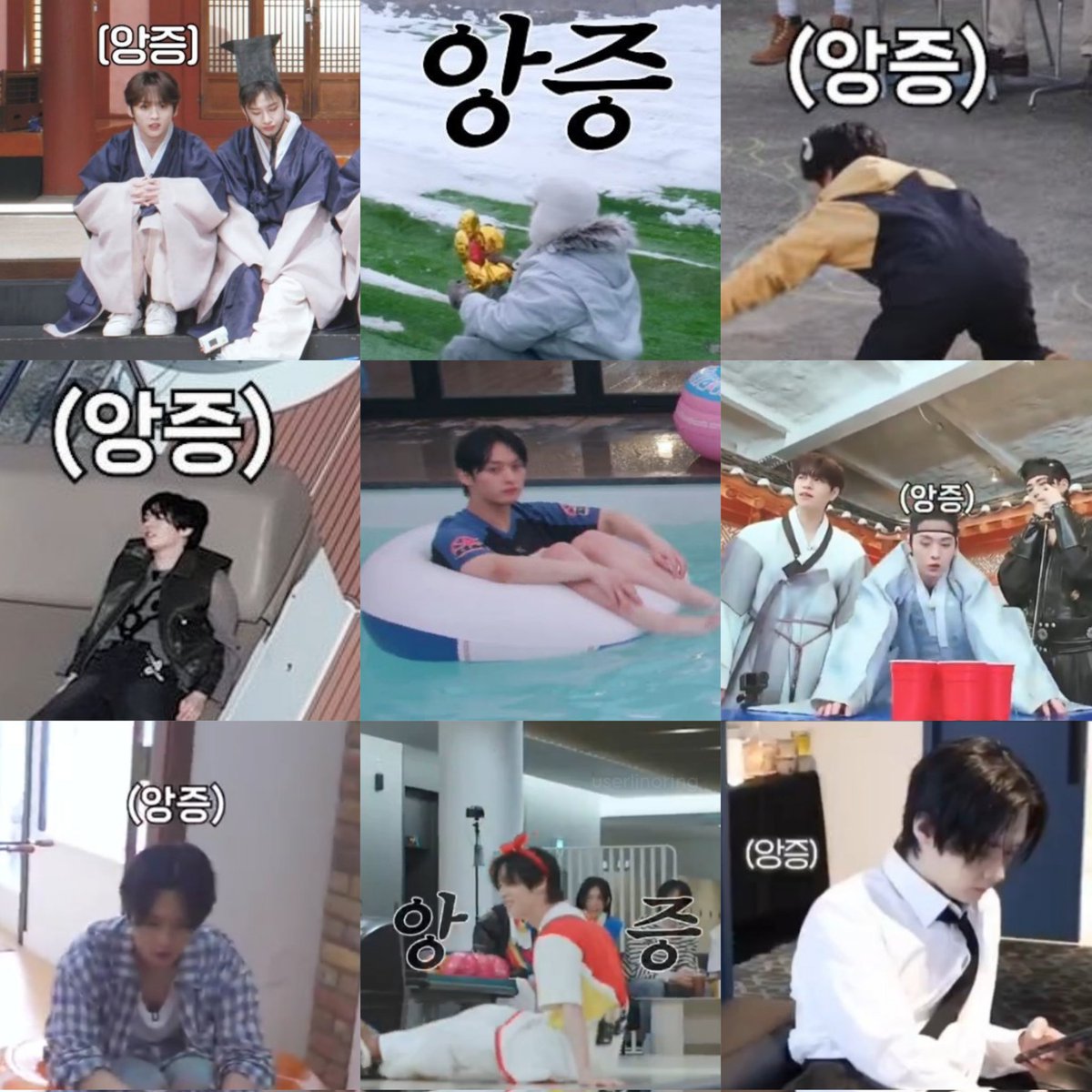 userlinoring's tweet image. mino being 앙증 ...small and precious baby cat 😭😭