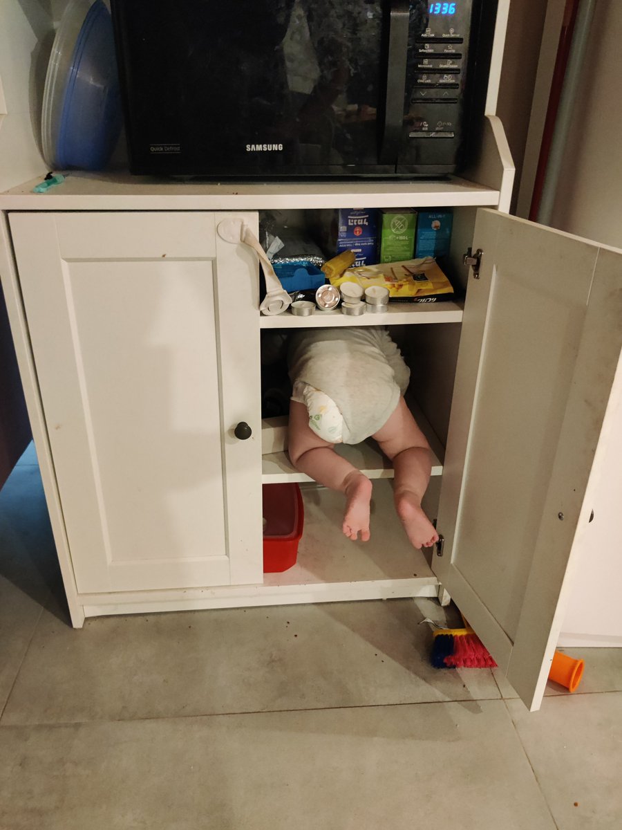 מרים שילת tweet media