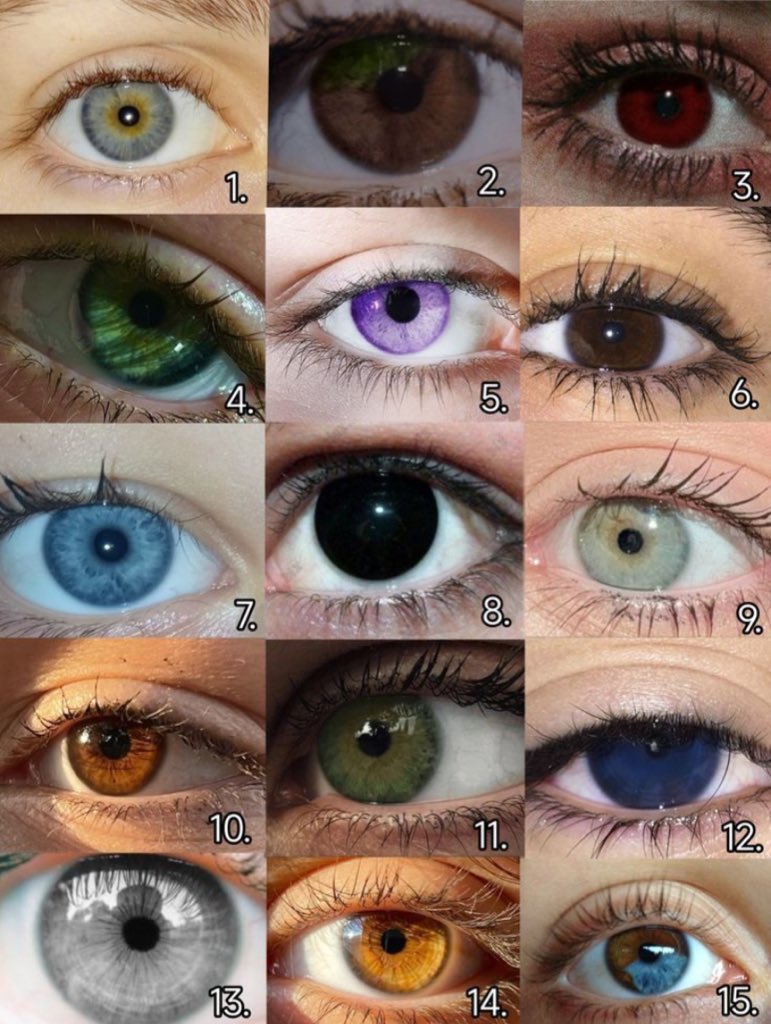 Senin göz rengin hangisi ?