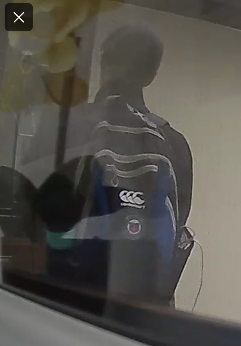 Marcus Watts 🏉 🐻 🐾 tweet media