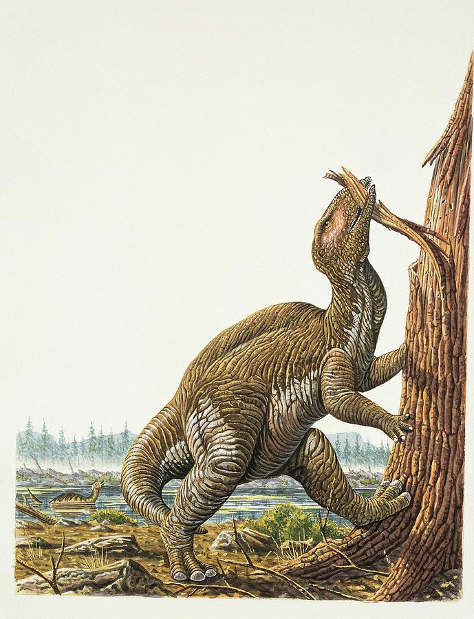 dinonostalgia's tweet photo. Tsintaosaurus, the Qingdao lizard, is an hadrosaurid dinosaur from the Late Cretaceous of China. 

It lived from 83 to 72 million years ago and it could grow to 10 meters in length. https://t.co/9t3h5nnp5P