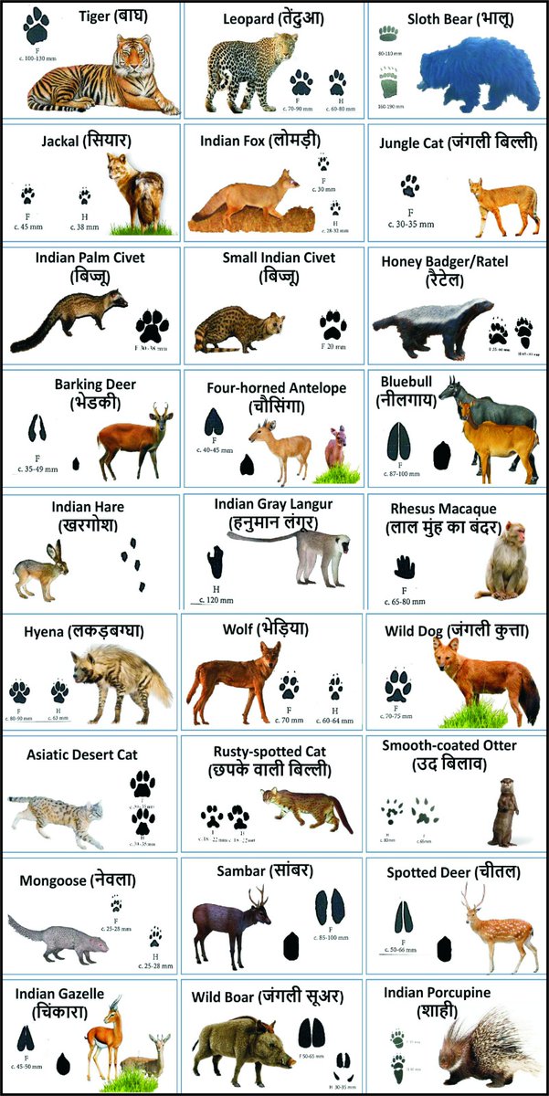 Anupam Sharma, IFS tweet media