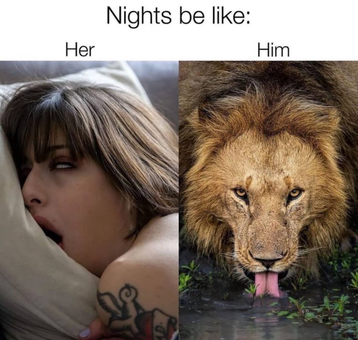 feel in diary ッ (@feelindiary) on Twitter photo 