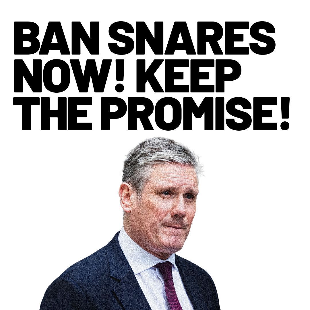 80k of you have signed our petition, let's get to 100k and keep the pressure on! 

protectthewild.org.uk/ban-snares/