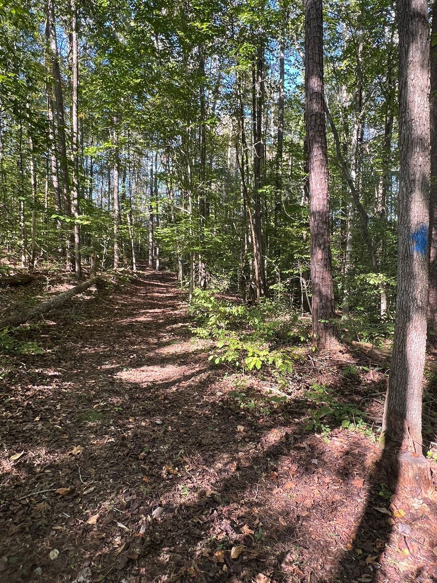 🌿 Volunteer Opportunity: Trail Maintenance &amp; Mapping 🌿

We’re looking for passionate individuals and organizations to help maintain and improve the Dixon Trail! This trail is less than a mile long, and our goal is to ensure it’s safe, accessible, and enjoyable for everyone.