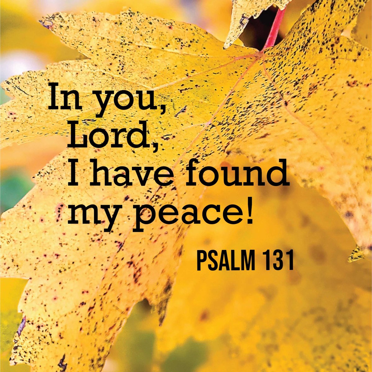 “In you, O Lord, I have found my peace.” (Psalm 131)