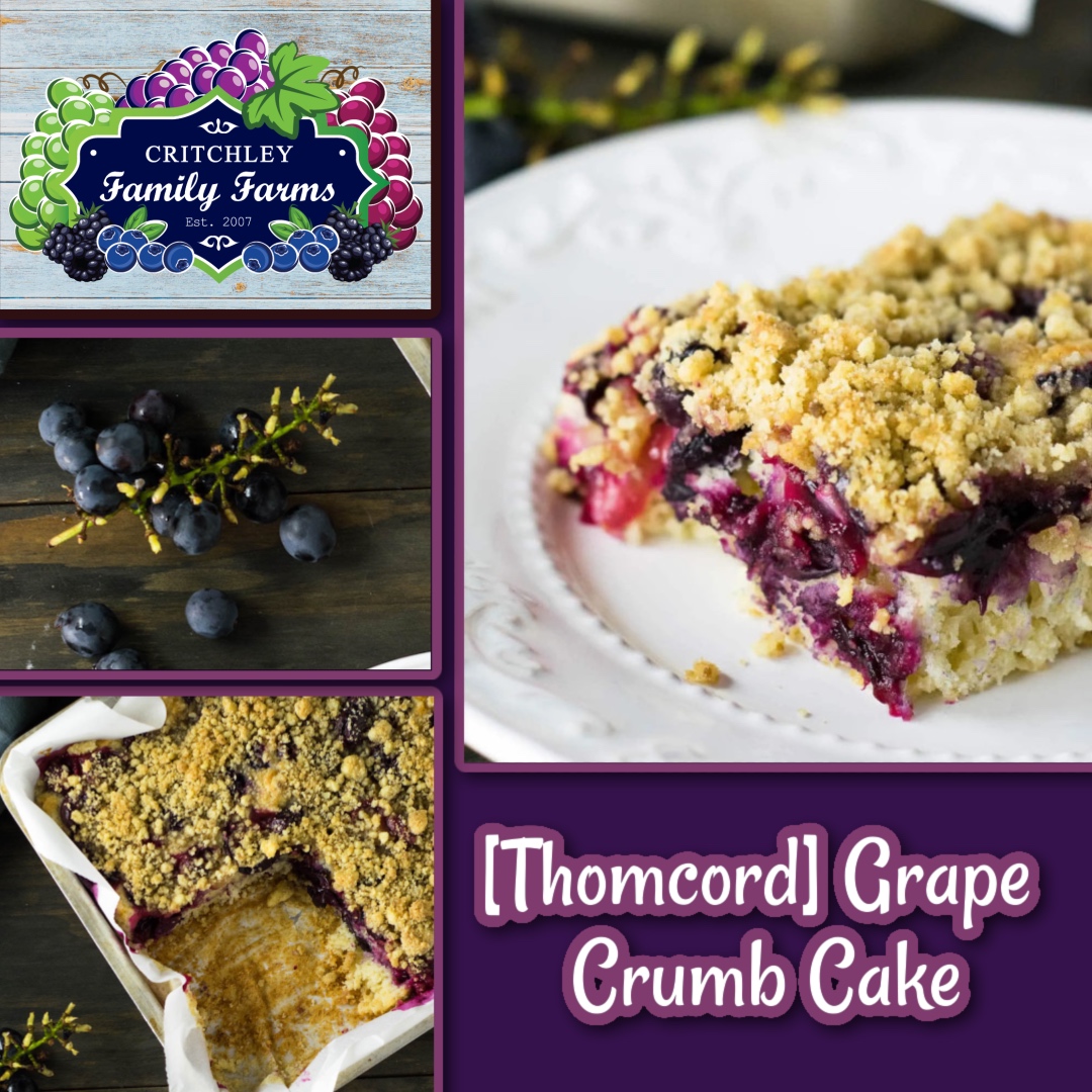This crumb cake is the perfect way to showcase fresh grapes from #CritchleyFamilyFarms! The juicy bursts of baked grapes pair beautifully with a golden buttery crumb.
Perfect for brunch, dessert, or a cozy afternoon treat!
critchleyfamilyfarms.com/recipes/concor…