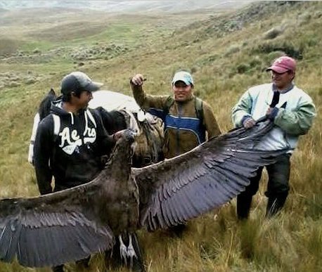 csr_costa's tweet photo. Los derechos de la naturaleza no solo sirven para proteger los ecosistemas. Son un avance en la forma de mirar y comprender la vida, de relacionarnos con el entorno. Son una forma de darle voz a lo que hace posible que estemos aquí. 

NO a quienes pretenden eliminar ese derecho. https://t.co/2aqMBffkWN