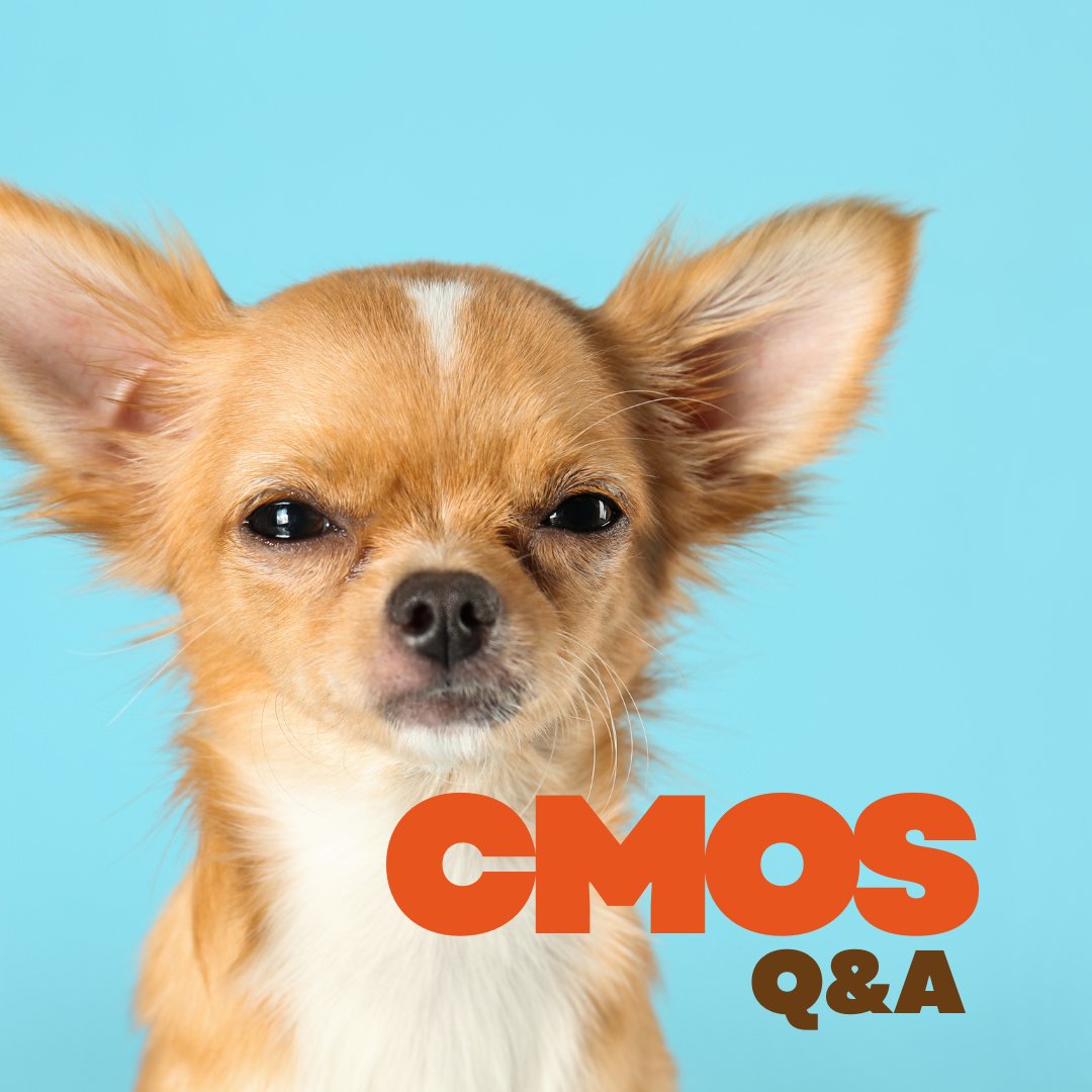 The Chicago Manual of Style tweet media