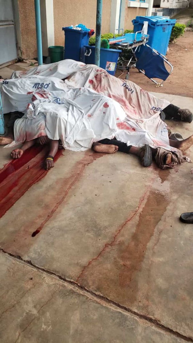 mangekimambi's tweet photo. The violence Samia Suluhu unleashed on Tanzanians for protesting demanding free and fair elections https://t.co/JNi1ElzP7U