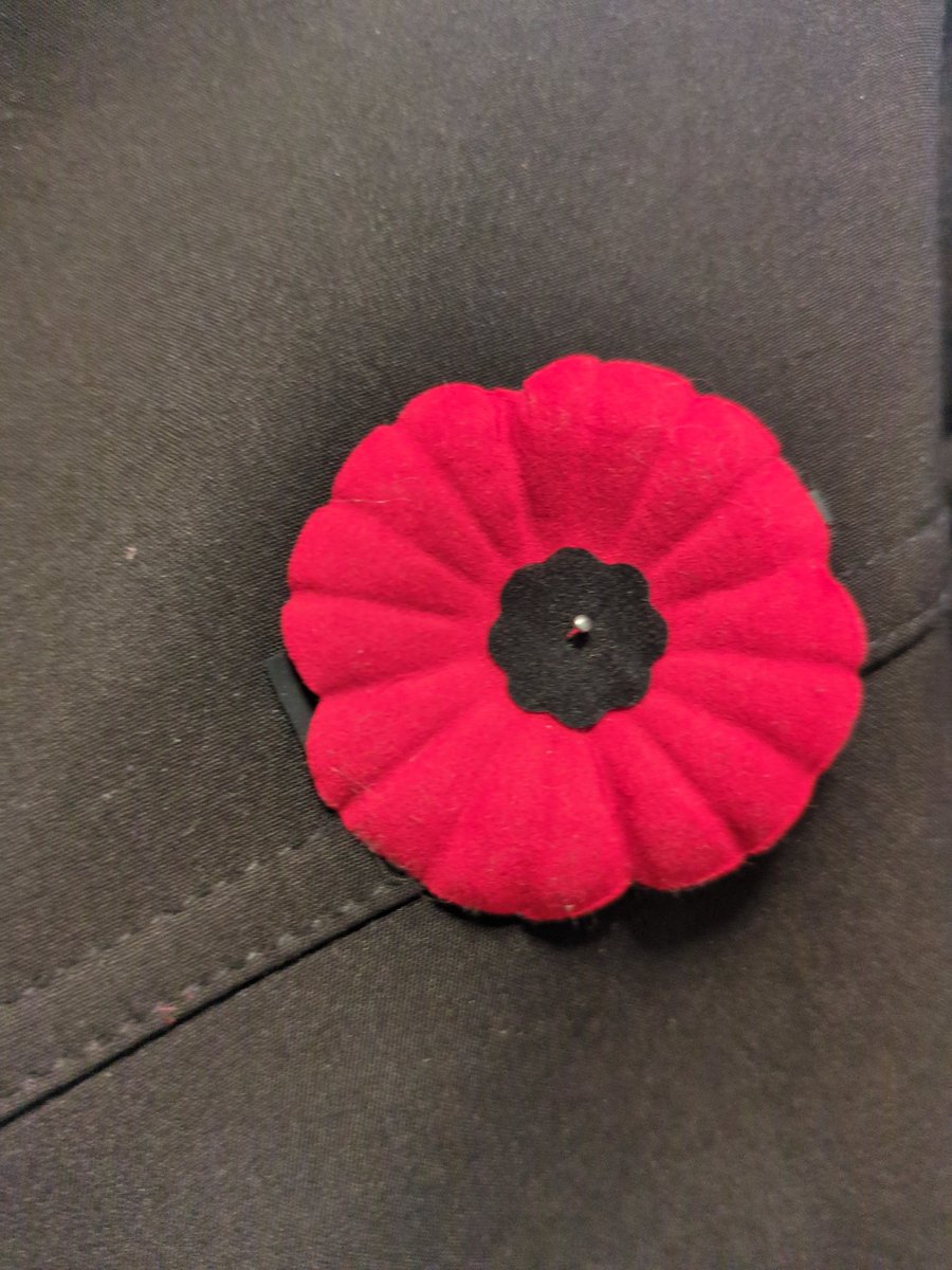 You're wearing a poppy, right anon?