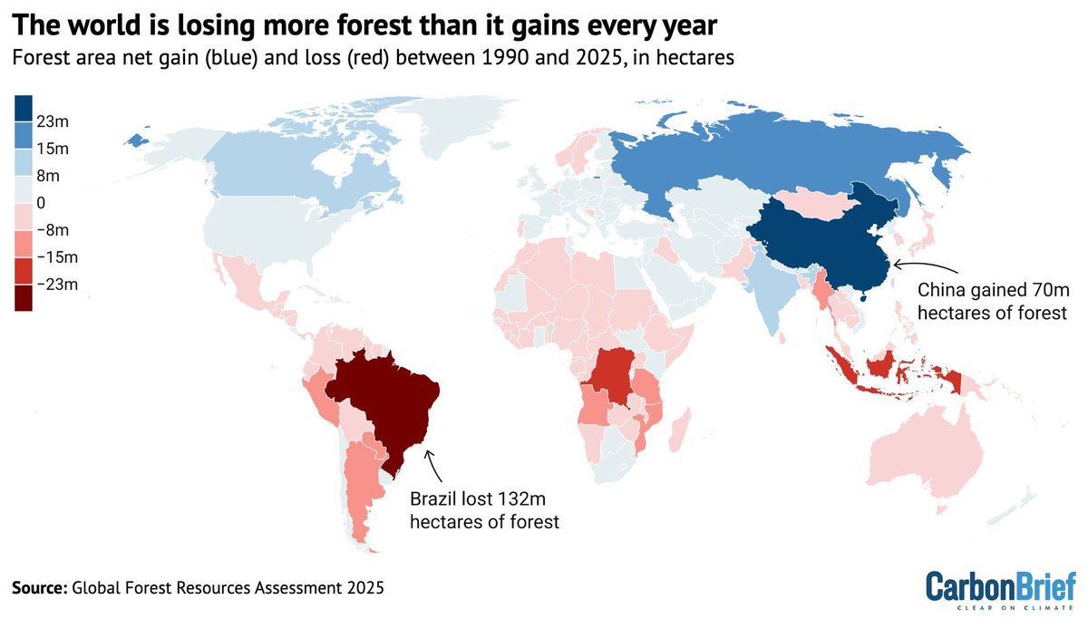 Carbon Brief tweet media