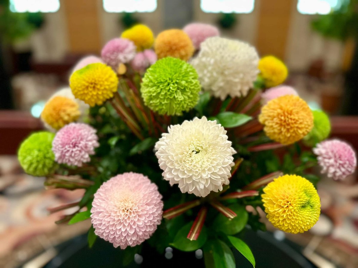 🌏今日のひと言　魂の評価　2024年11月5日🌏

【今日のひと言2024.11.5】
〜魂の評価〜

億万長者で亡くなっても
一文無しで亡くなっても
魂の重さには関係ありません

どれだけ良き想念で
時を過ごしたのか？

時の過ごし方
感情のあり方が
死後の魂の評価となります