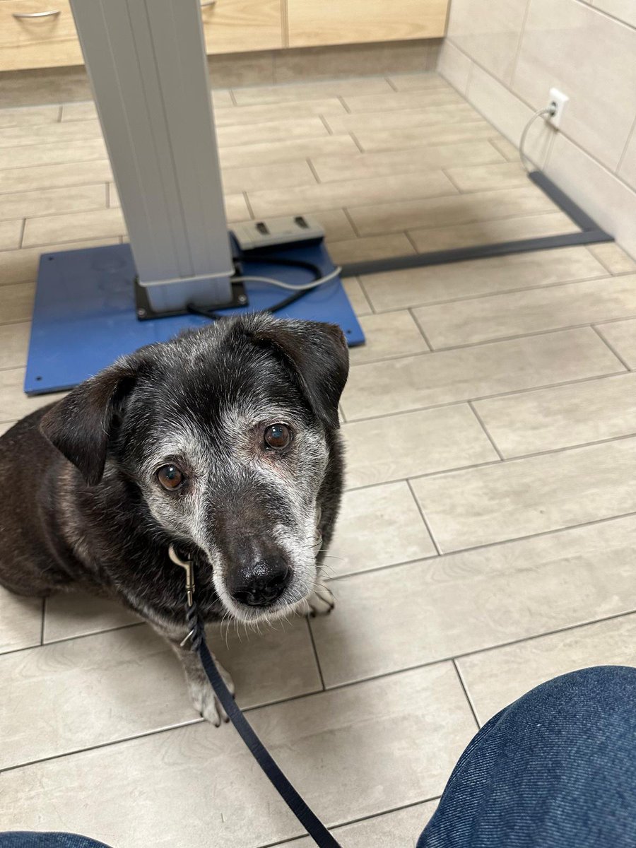 #wazifubo
Zur Hülf😱😱😱