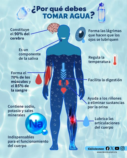 #Salud | El vínculo entre el #agua y nuestro cuerpo es indispensable para el transporte de nutrientes y la eliminación de desechos del mismo 
¡Recuerda beber agua constantemente durante el día!
lc.cx/WQZGSb