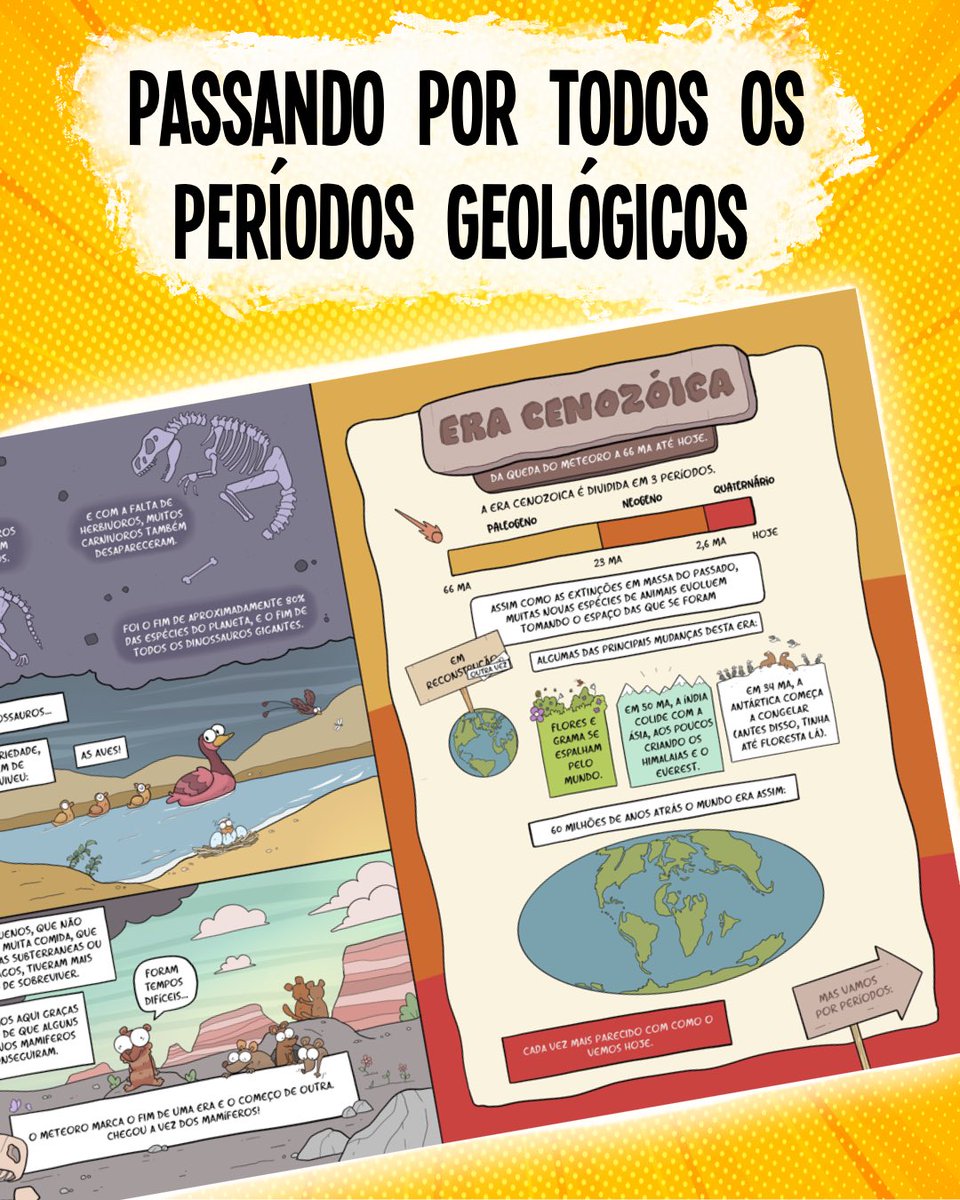 Carlos Ruas tweet media