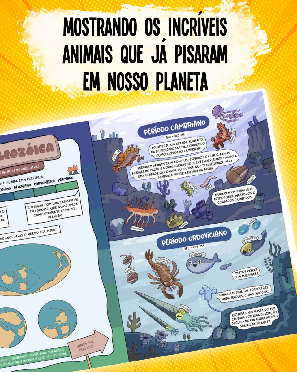 Carlos Ruas tweet media