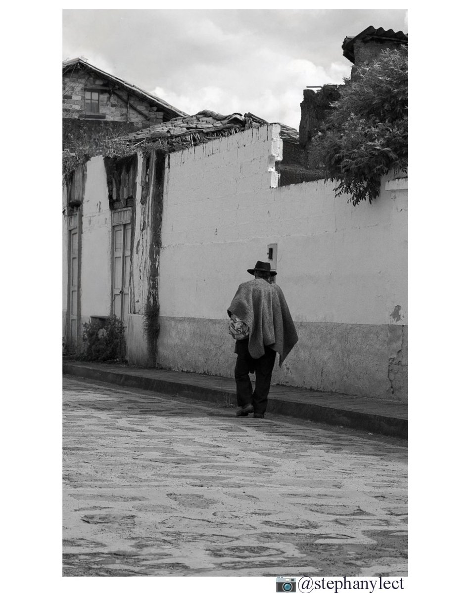 stephanyLect's tweet image. “Nunca, nunca sabréis cómo me ilumina 
La sombra que se pone a mi lado, tímida, 
Cuando ya nada espero...&quot;

—Giuseppe Ungaretti / el dolor 

#fotograﬁa #fotodeldìa #poesia #giuseppeungaretti