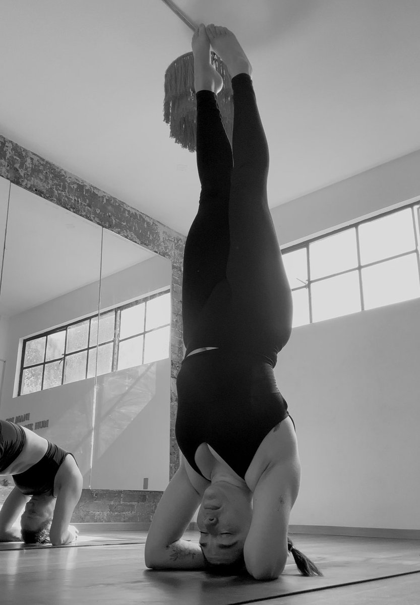 Danny A. Crespo tweet media