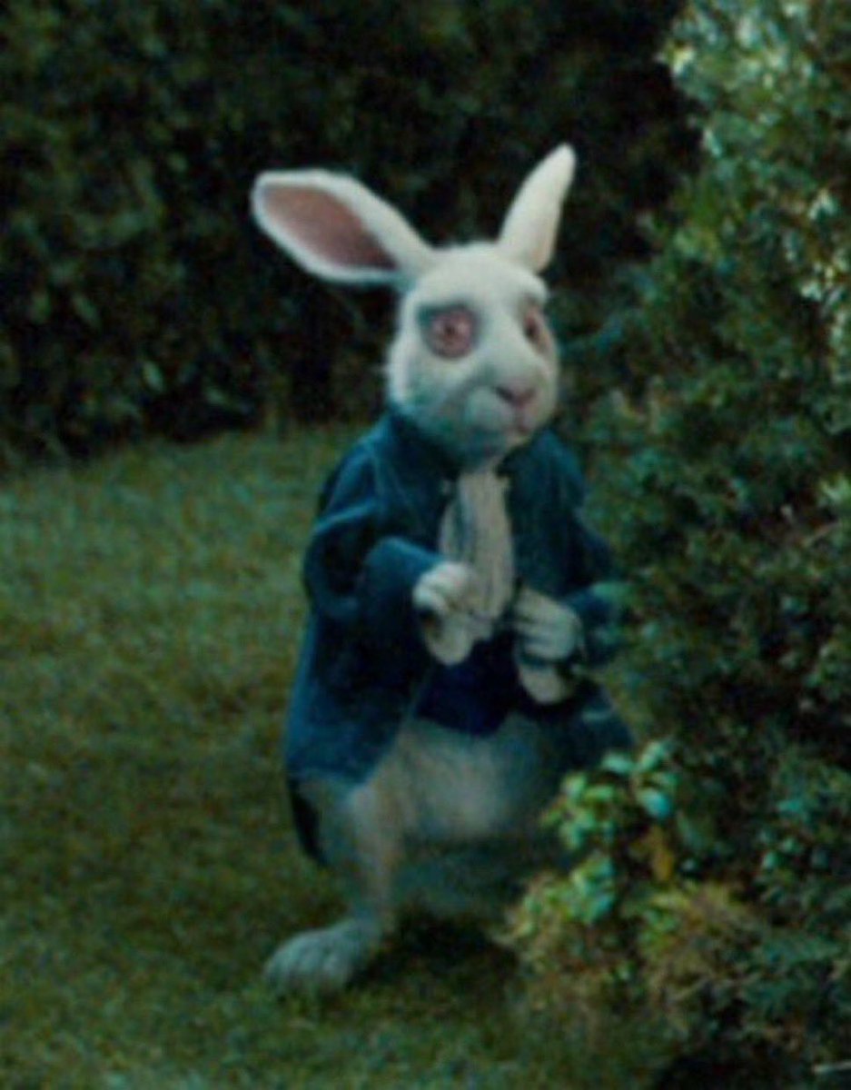 i sometimes forget sh hurts because i only do it for the scars