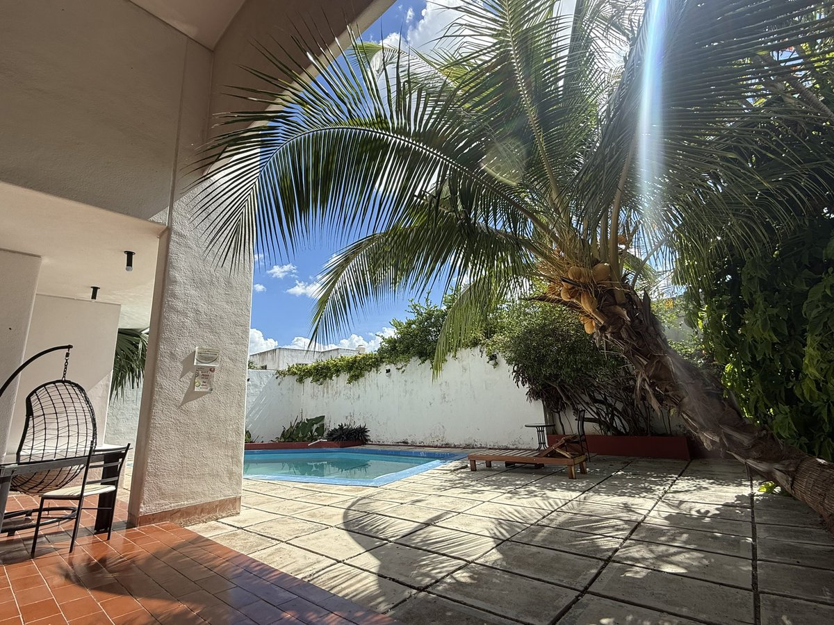 begin3d's tweet image. メキシコついてからずっと部屋で仕事してて飯も部屋で食ってますけど、宿の庭に出るとこんな感じなので全然大丈夫。