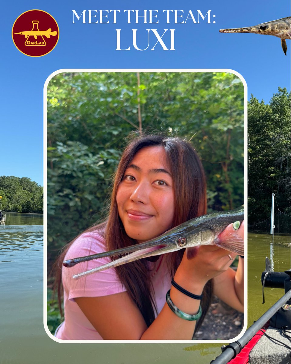 TheGarLab's tweet image. Meet #GarLab member Luxi Feyereisen!
Luxi is a graduate of UW-Madison and just started her master’s degree at the University of MN. She is a passionate world traveler and loves to experience different cultures through their food, traditions, and aquatic life! 
#GarWeek