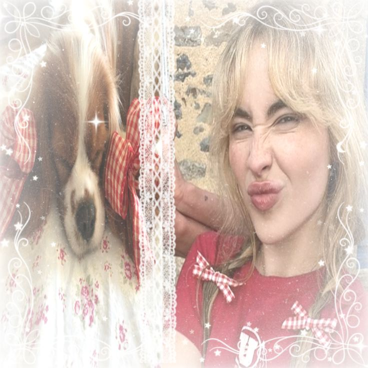 clarabowwho's tweet image. 