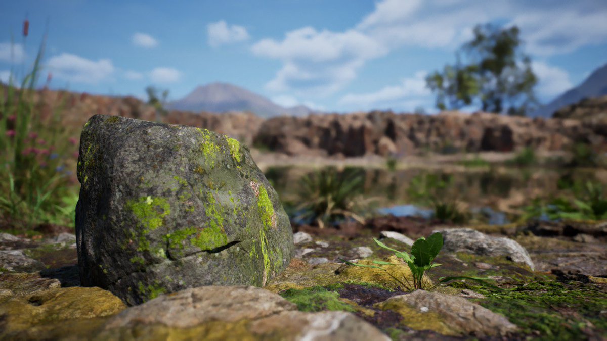 Brokenvegetable 🎮🏎📸 Photography🚗🛻🚜ZOO PORK tweet media