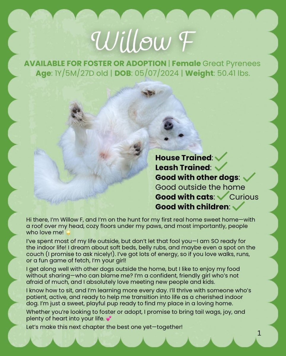 GPRAtlanta's tweet image. Meet Willow!
