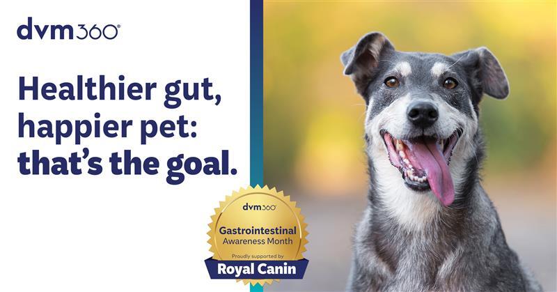dvm360's tweet image. It’s #GastrointestinalAwarenessMonth! Follow #Fetchdvm360 for “tummy talk” tips, CE spotlights, and case challenges to keep your clinic learning and thriving. #VeterinaryMedicine #ContinuingEducation  @RoyalCanin