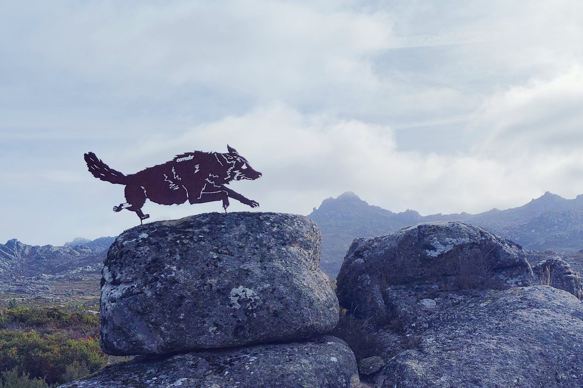 Recunchos máxicos (silueta do lobo corredor na ruta do Foxo do lobo de Guende 🐺) #xuresvivo #destinoxures #resistenciarural #somosrural #vivimosnorural