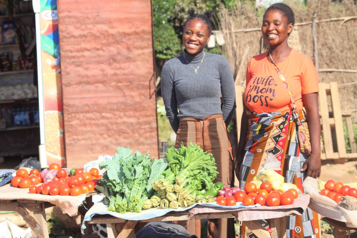 AEProgram's tweet image. We are honored to highlight the achievements of Violet Mukumbwa, an exemplary alumna of our flagship Learning &amp;amp; Leadership Center in Kafue, #Zambia -- the Amos Youth Centre (AYC). Currently serving as AYC’s Entrepreneurship Manager and pursuing a Bachelor of Business…