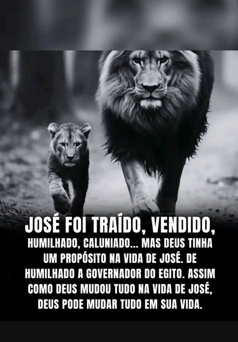 VivendoJesus77's tweet image. 