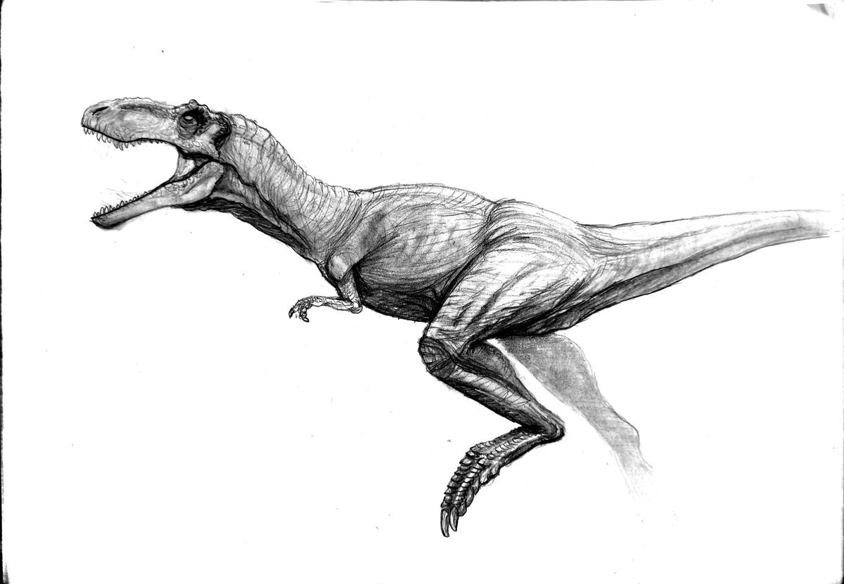 Just having some fun. Drew a Jp style nanotyrannus.